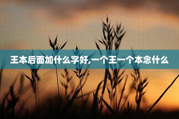 王本后面加什么字好,一个王一个本念什么