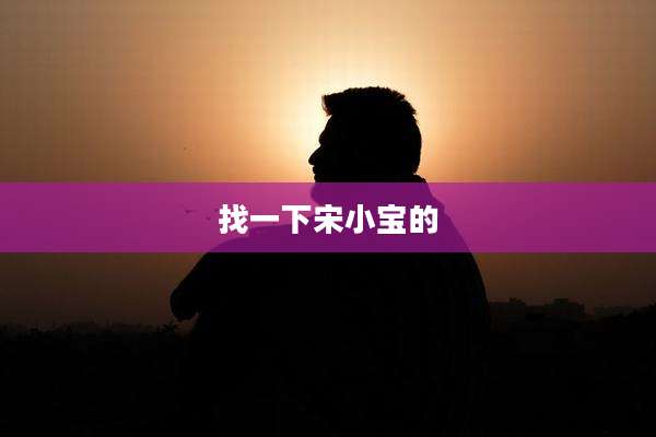 找一下宋小宝的