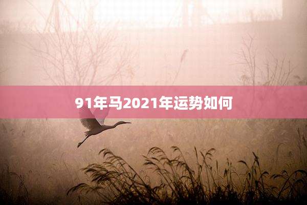 91年马2021年运势如何