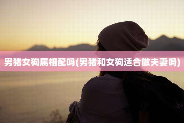 男猪女狗属相配吗(男猪和女狗适合做夫妻吗)
