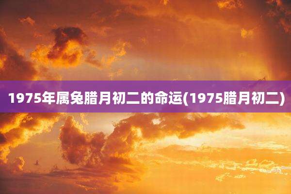1975年属兔腊月初二的命运(1975腊月初二)