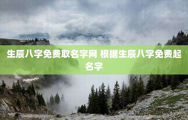 生辰八字免费取名字网 根据生辰八字免费起名字