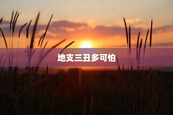 地支三丑多可怕