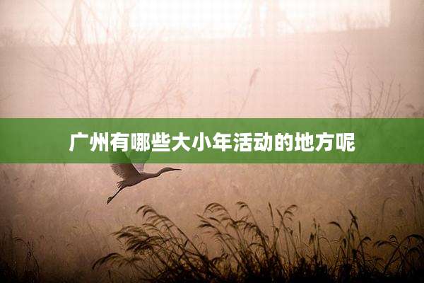 广州有哪些大小年活动的地方呢
