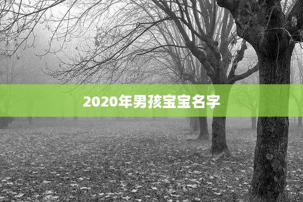 2020年男孩宝宝名字