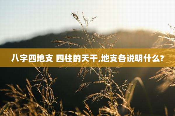 八字四地支 四柱的天干,地支各说明什么?