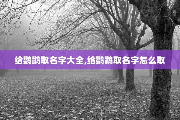 给鹦鹉取名字大全,给鹦鹉取名字怎么取