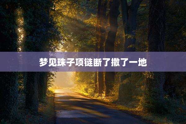 梦见珠子项链断了撒了一地