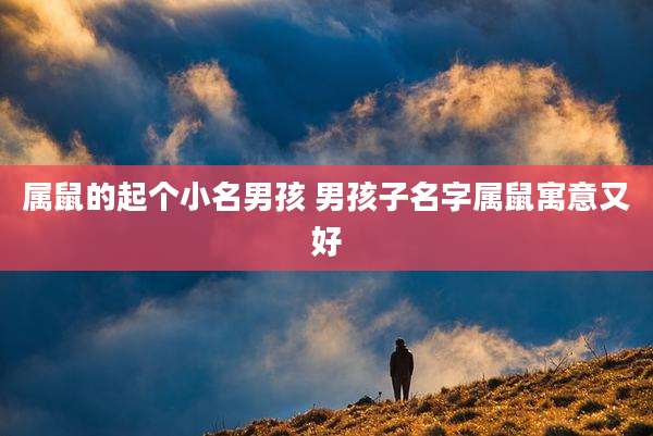属鼠的起个小名男孩 男孩子名字属鼠寓意又好