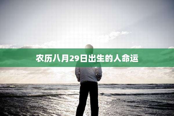 农历八月29日出生的人命运
