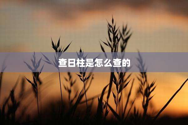 查日柱是怎么查的