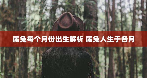 属兔每个月份出生解析 属兔人生于各月