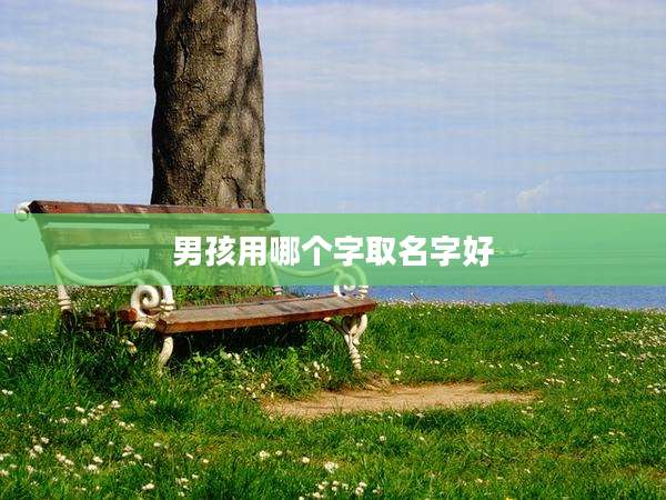 男孩用哪个字取名字好