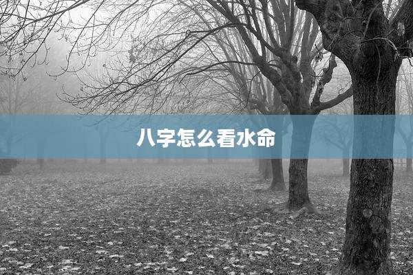 八字怎么看水命