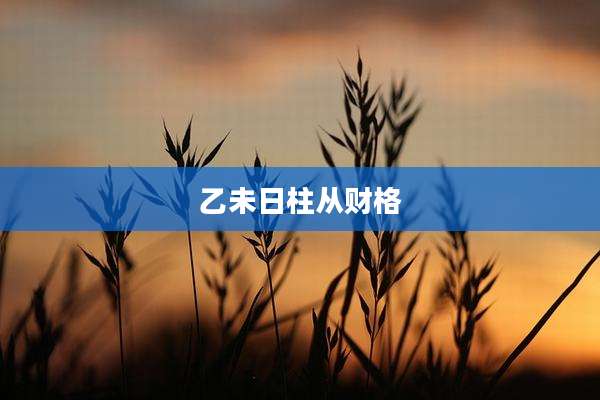乙未日柱从财格
