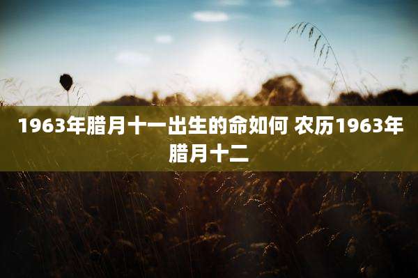 1963年腊月十一出生的命如何 农历1963年腊月十二