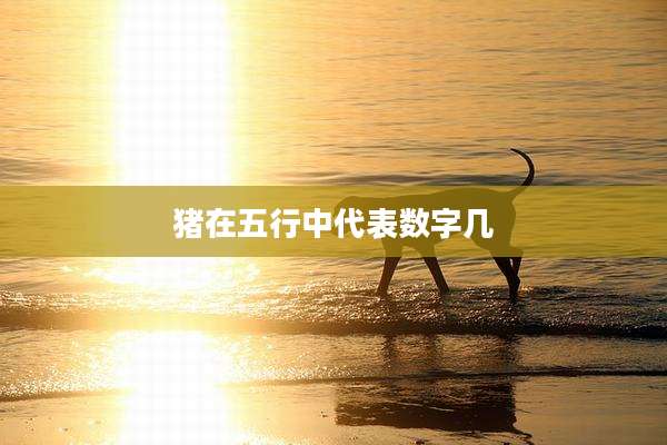 猪在五行中代表数字几