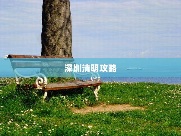 深圳清明攻略