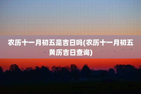 农历十一月初五是吉日吗(农历十一月初五黄历吉日查询)