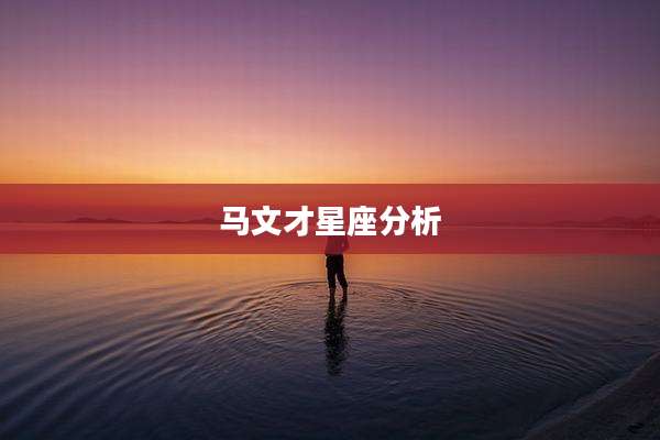 马文才星座分析