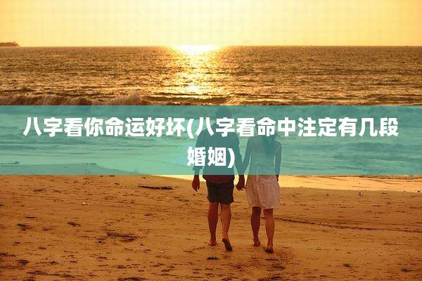 八字看你命运好坏(八字看命中注定有几段婚姻)