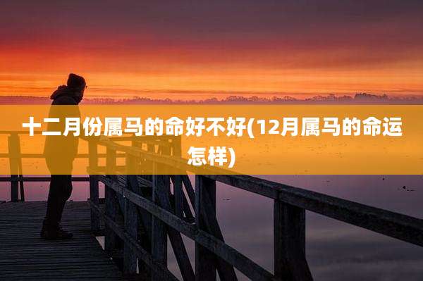 十二月份属马的命好不好(12月属马的命运怎样)