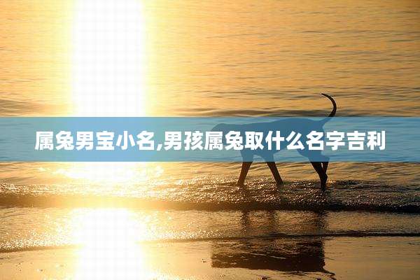 属兔男宝小名,男孩属兔取什么名字吉利
