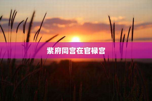 紫府同宫在官禄宫