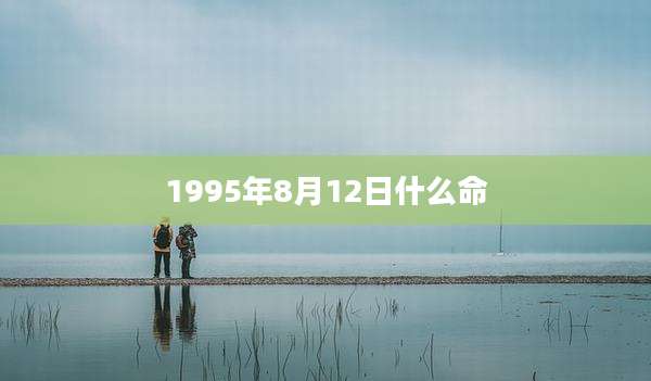 1995年8月12日什么命