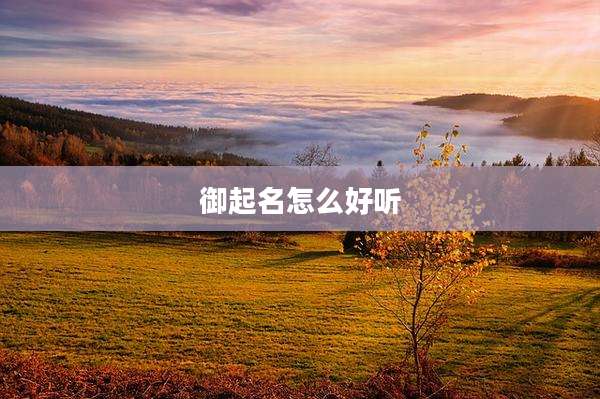 御起名怎么好听