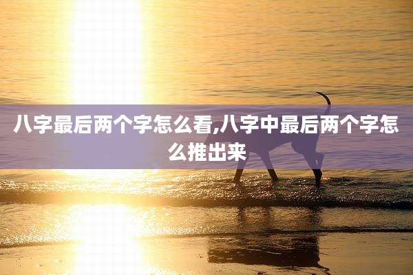 八字最后两个字怎么看,八字中最后两个字怎么推出来