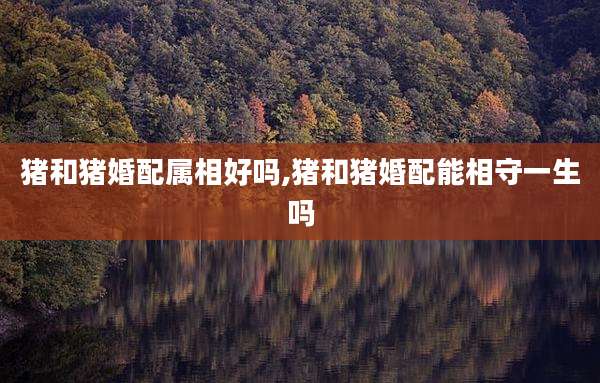 猪和猪婚配属相好吗,猪和猪婚配能相守一生吗