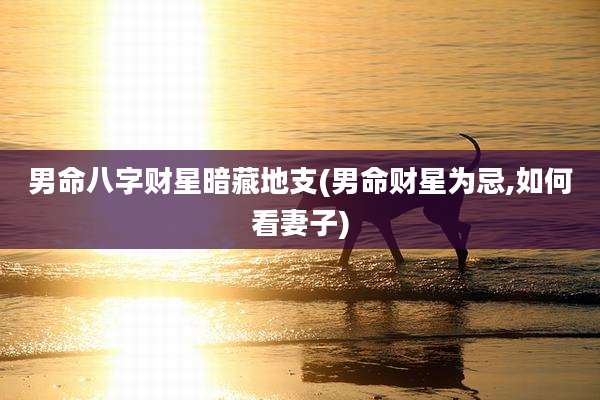 男命八字财星暗藏地支(男命财星为忌,如何看妻子)