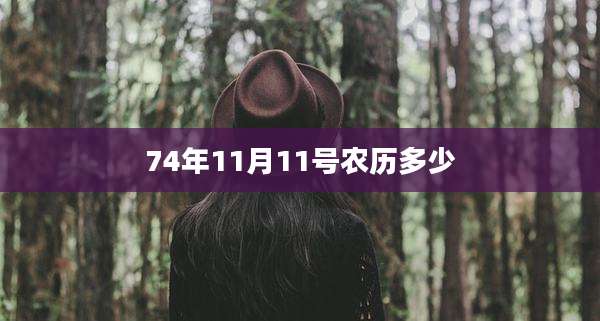 74年11月11号农历多少