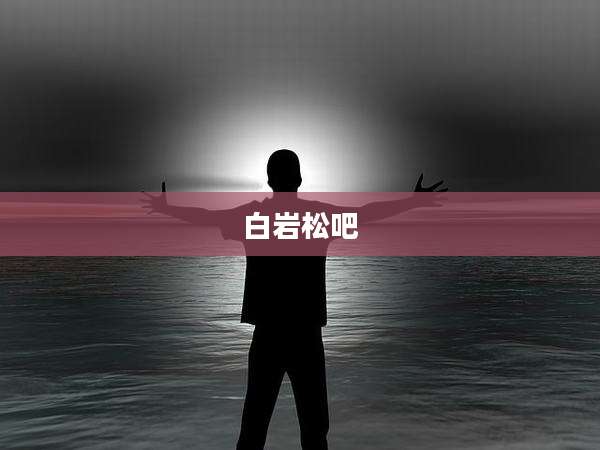 白岩松吧