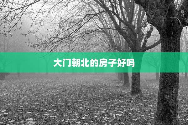 大门朝北的房子好吗