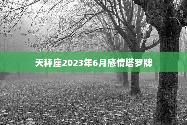 天秤座2023年6月感情塔罗牌