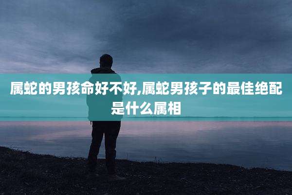 属蛇的男孩命好不好,属蛇男孩子的最佳绝配是什么属相