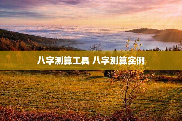 八字测算工具 八字测算实例