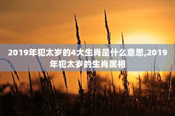2019年犯太岁的4大生肖是什么意思,2019年犯太岁的生肖属相