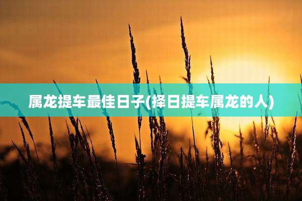 属龙提车最佳日子(择日提车属龙的人)