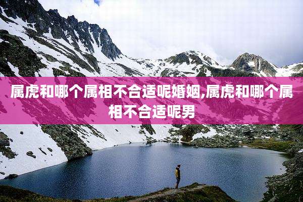 属虎和哪个属相不合适呢婚姻,属虎和哪个属相不合适呢男