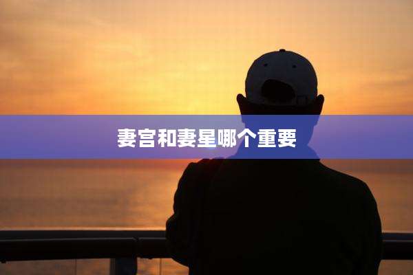妻宫和妻星哪个重要