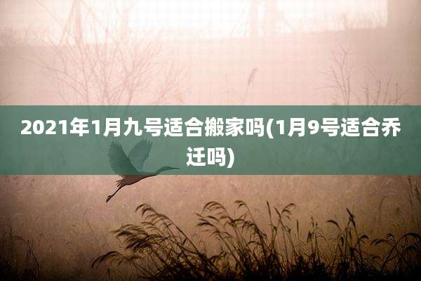 2021年1月九号适合搬家吗(1月9号适合乔迁吗)