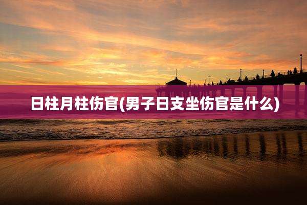 日柱月柱伤官(男子日支坐伤官是什么)