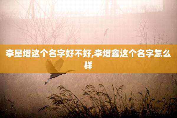 李星熠这个名字好不好,李熠鑫这个名字怎么样