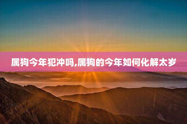 属狗今年犯冲吗,属狗的今年如何化解太岁
