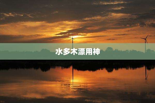 水多木漂用神