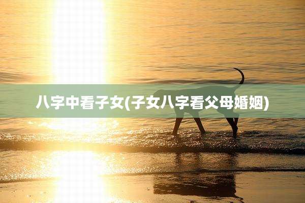 八字中看子女(子女八字看父母婚姻)