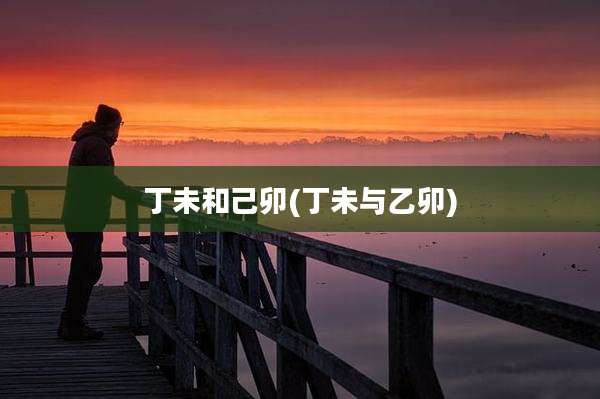 丁未和己卯(丁未与乙卯)